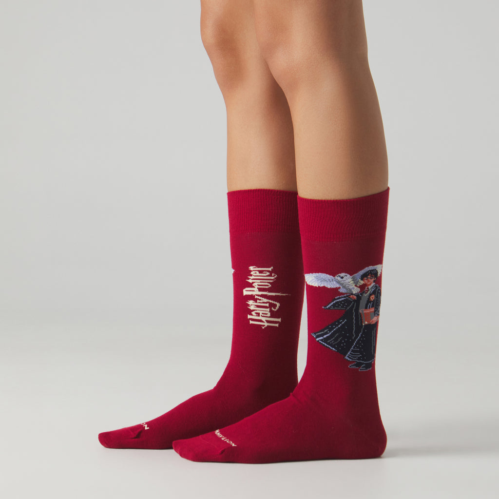 Harry Potter The Boy Who Lived Socks - Burgundy