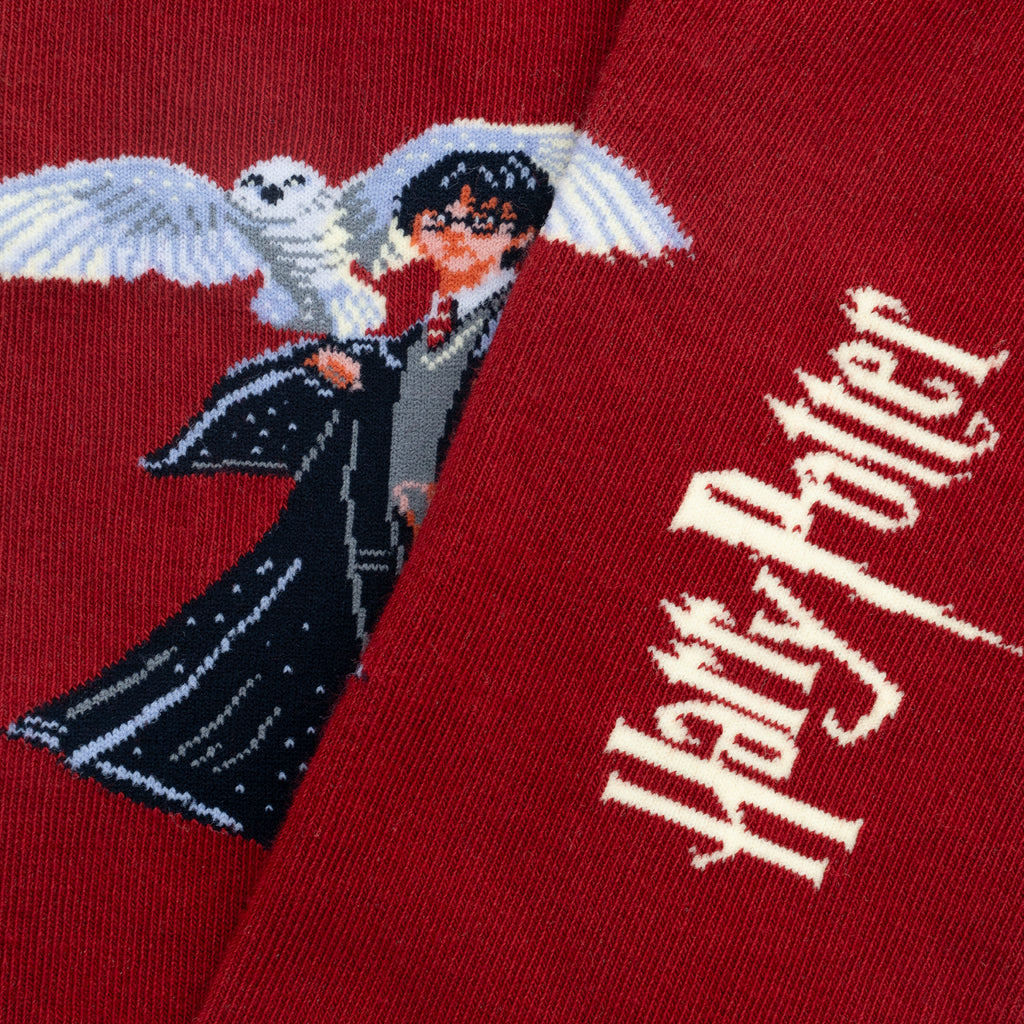 Harry Potter The Boy Who Lived Socks - Burgundy
