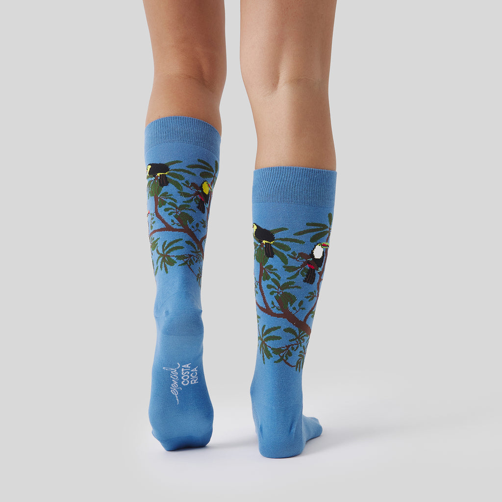 Pura Vida Rainbow Toucan - Azul Claro