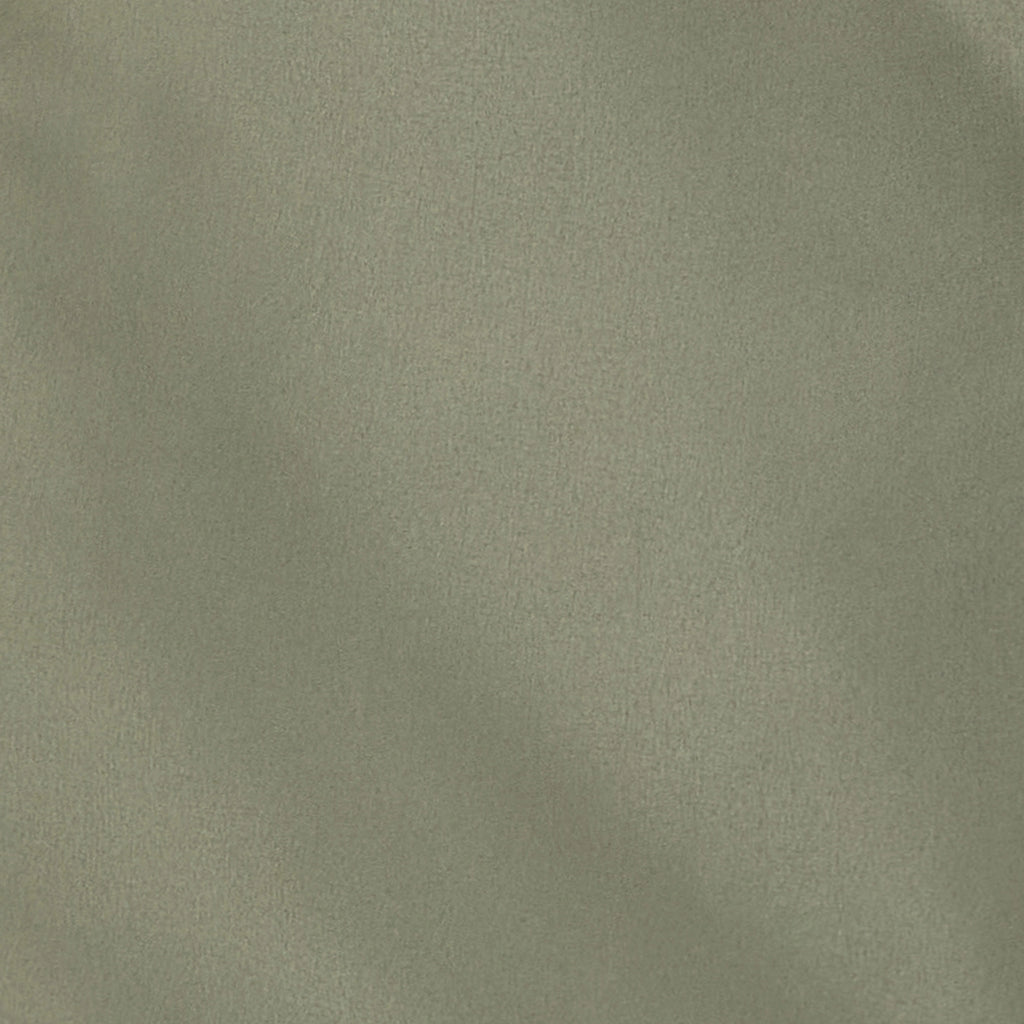 Lion Essentials Swim Shorts - Vetiver Green