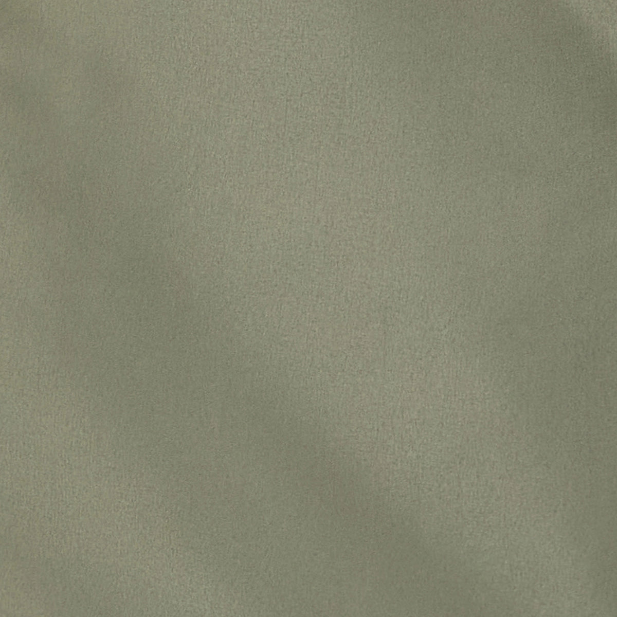 Lion Essentials Swim Shorts - Vetiver Green