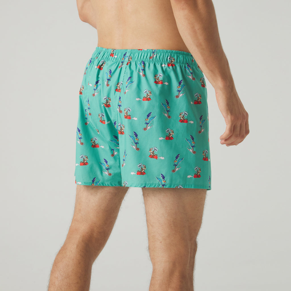 Road Runner vs Coyote Boxer Shorts - Sage Green